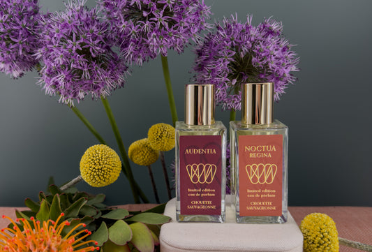 Debut Eau de Parfum Collection
