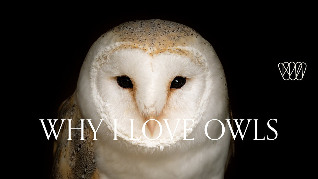 Wild and wise: why I love owls